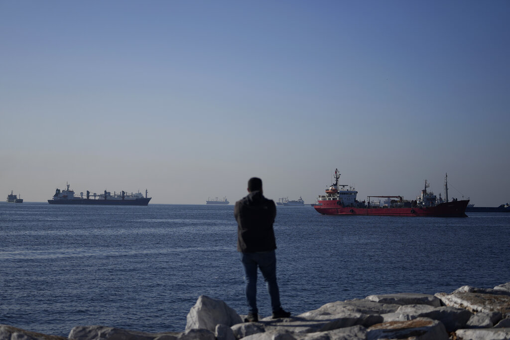 Cargo ships wait to cross the Bosphorus Straits at Istanbul, Turkey, November 1, 2022.
