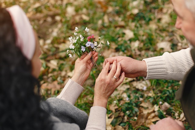 Poem of the Day: ‘Inheritance’ | The New York Sun