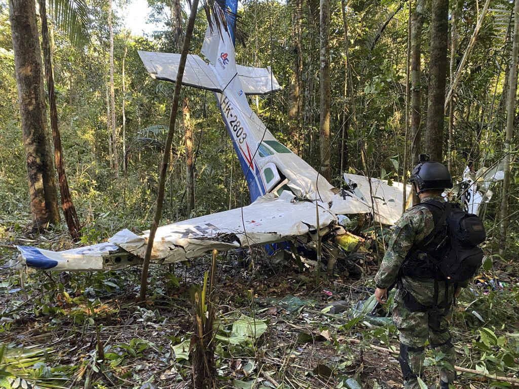 Children Who Survived Jungle Plane Crash Put American Tots to Shame - Vimarsana News