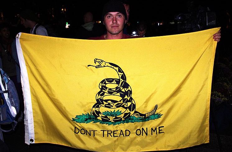 Meaning of the 'don't tread on me' flag as boy is kicked out of school for  displaying symbol