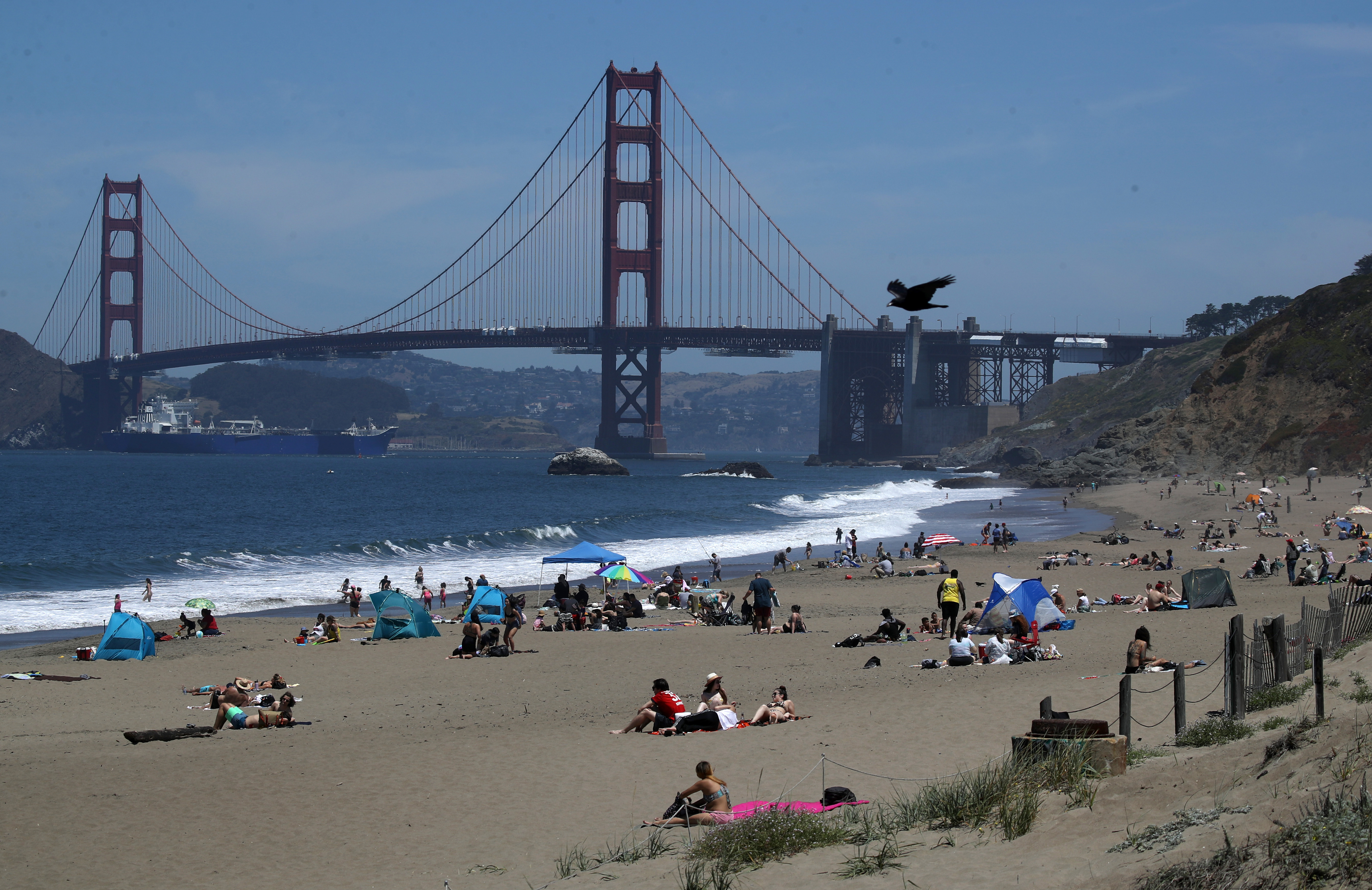 California Man Kidnapped From a San Francisco Park in 1951 Found Alive and Living on the East Coast