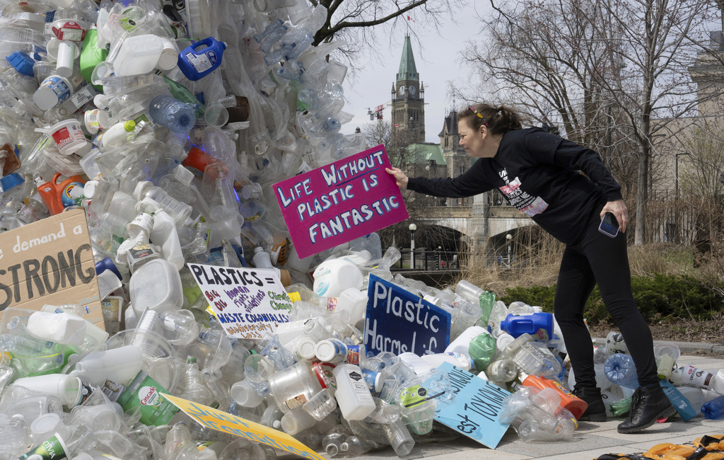 Study Finds Microplastic Pollution Widespread in Human, Animal Testes - Vimarsana News