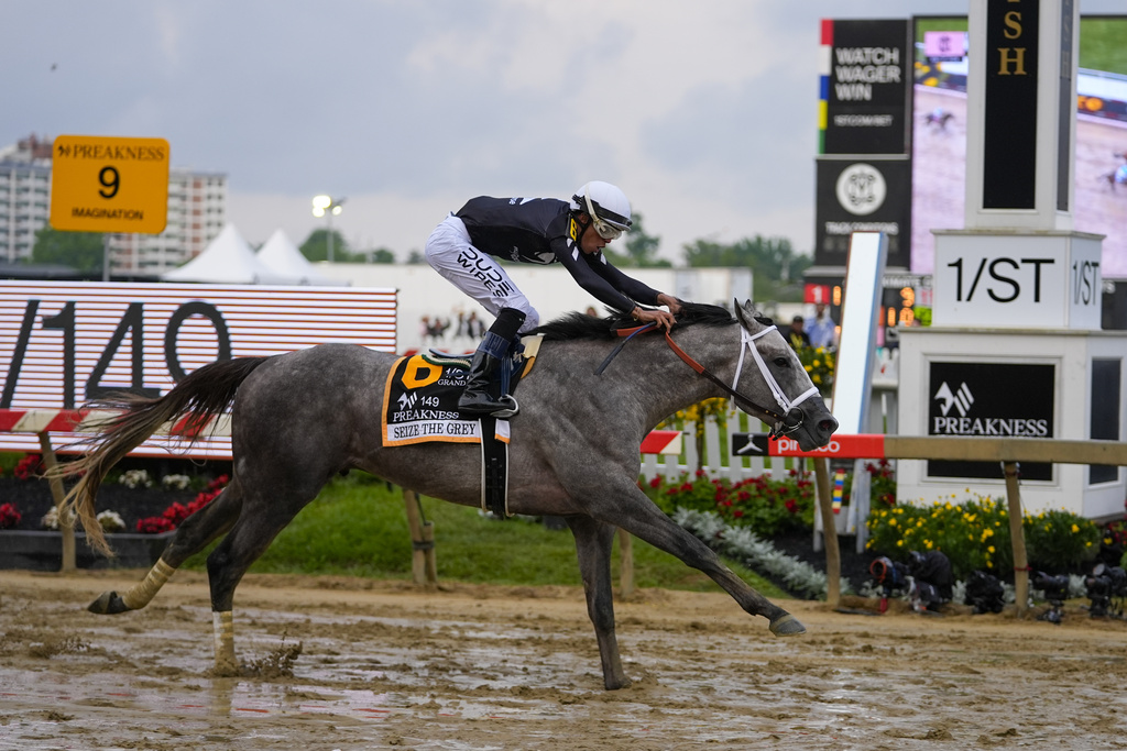 A Mere $127 Investment Has Thousands of Owners Rooting for Seize the Grey To Win Belmont - Vimarsana News
