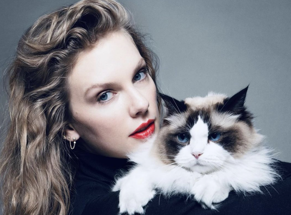 Taylor Swift, Self-Proclaimed ‘Childless Cat Lady,’ Offers Harris Her ...