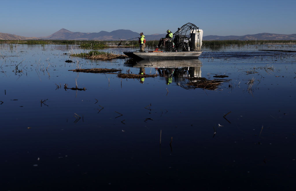 Wildlife Populations Have Plunged 73 Percent in Just 50 Years, Report Finds