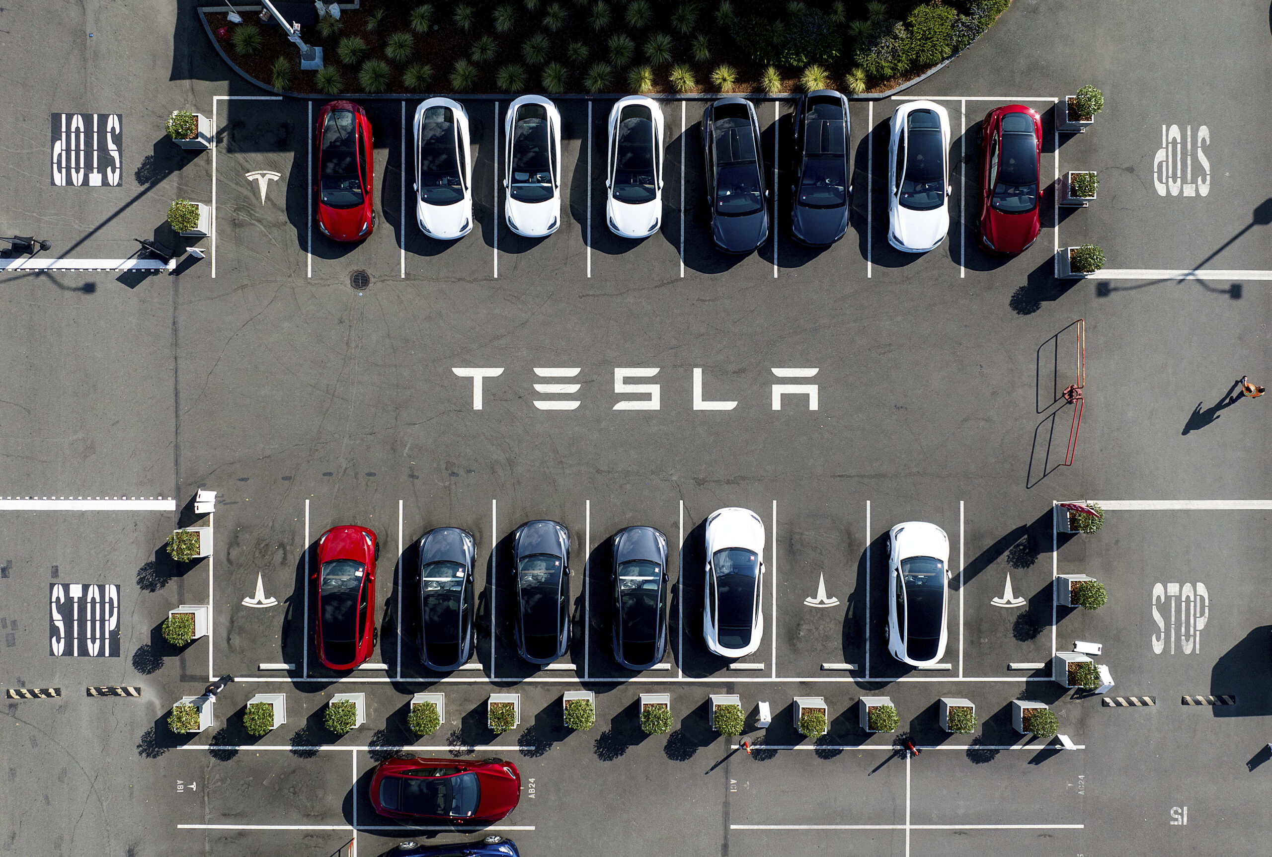 Pressure Mounts on Elon Musk To Step Back From Politics as Tesla