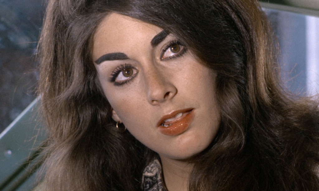 MoMA Revival Fest’s Lineup Runs Gamut From Kitsch to Classic