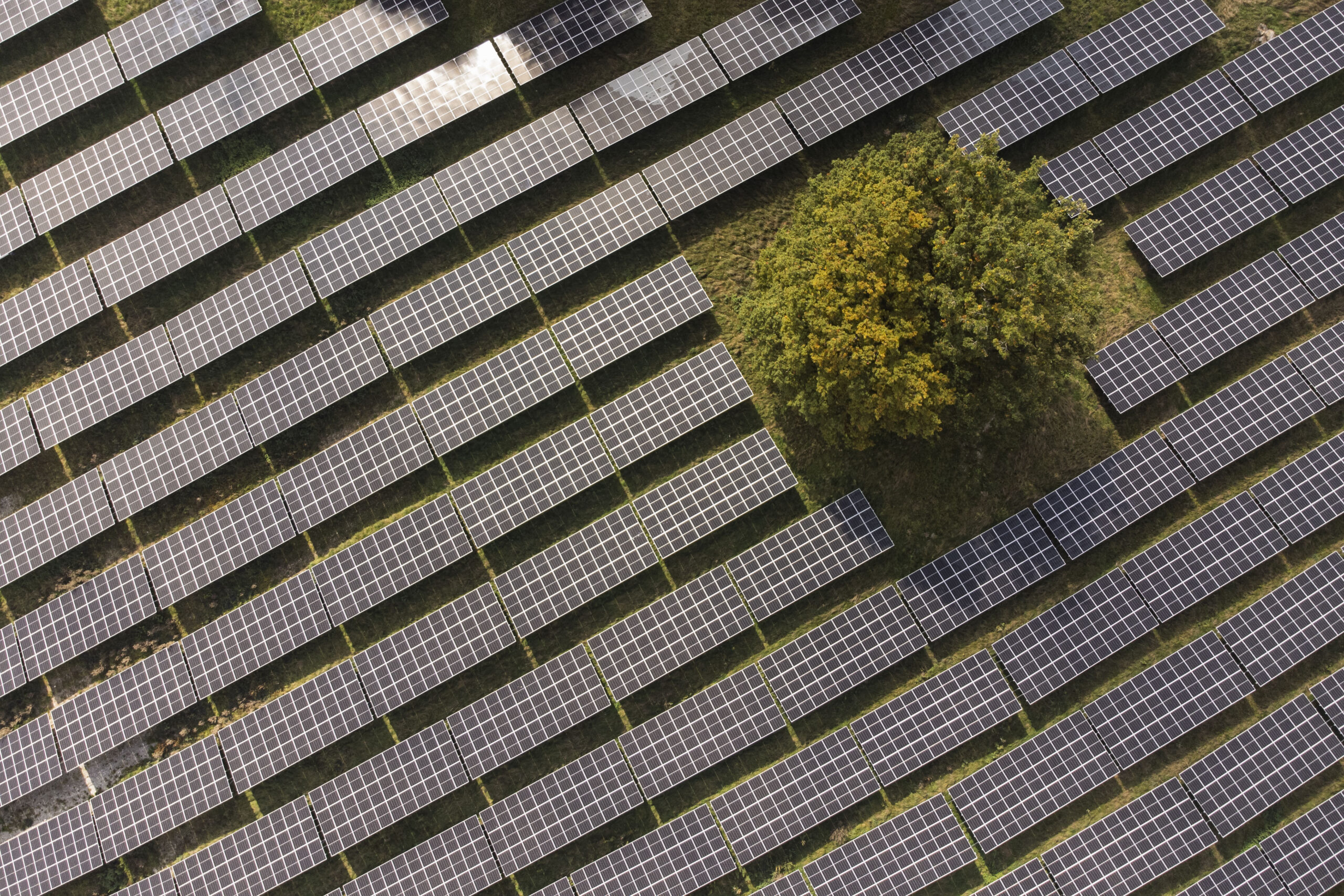 Solar Power Falters in Germany as Snow and Arctic Blast Hammer Europe