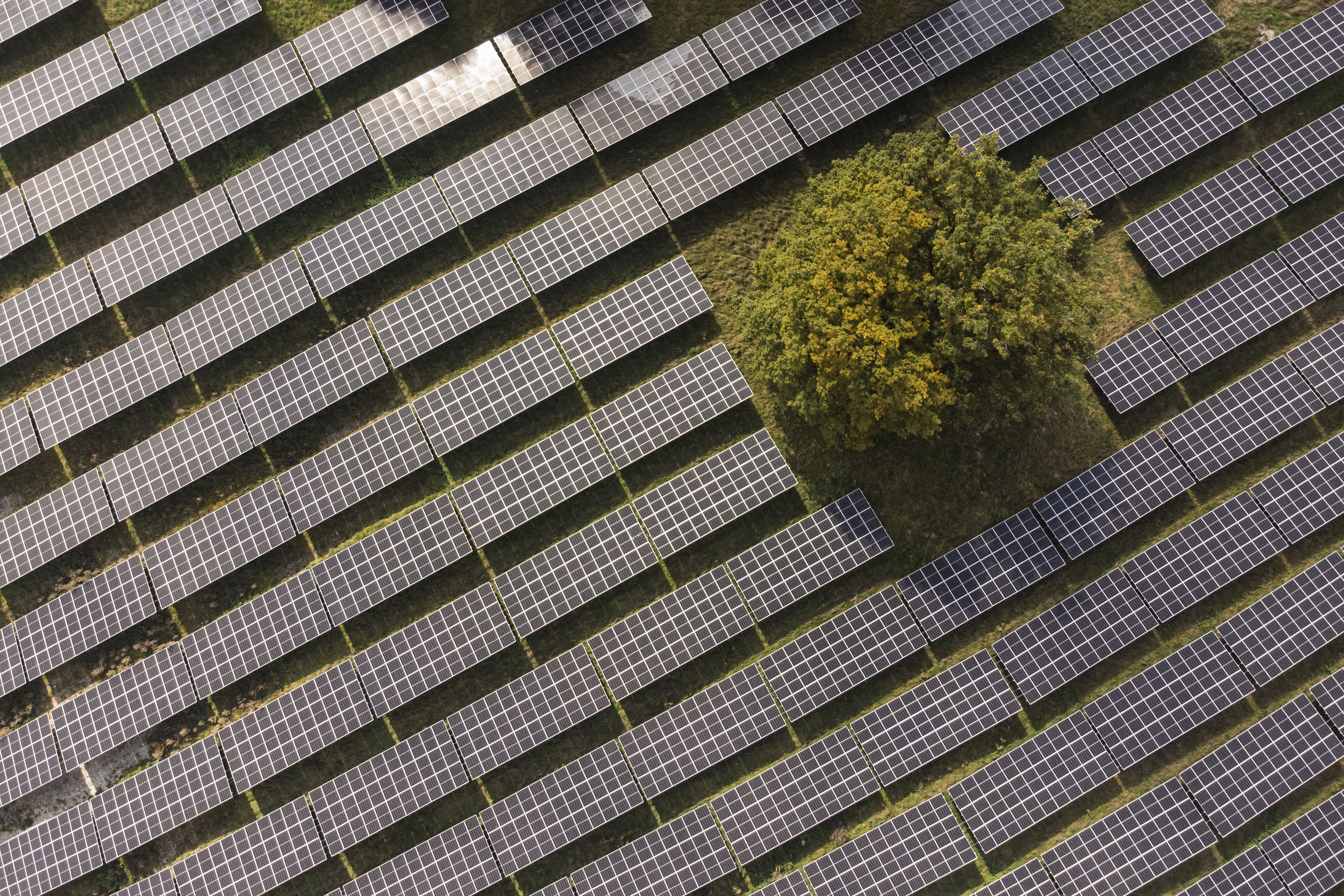 Solar Power Falters in Germany as Snow and Arctic Blast Hammer Europe