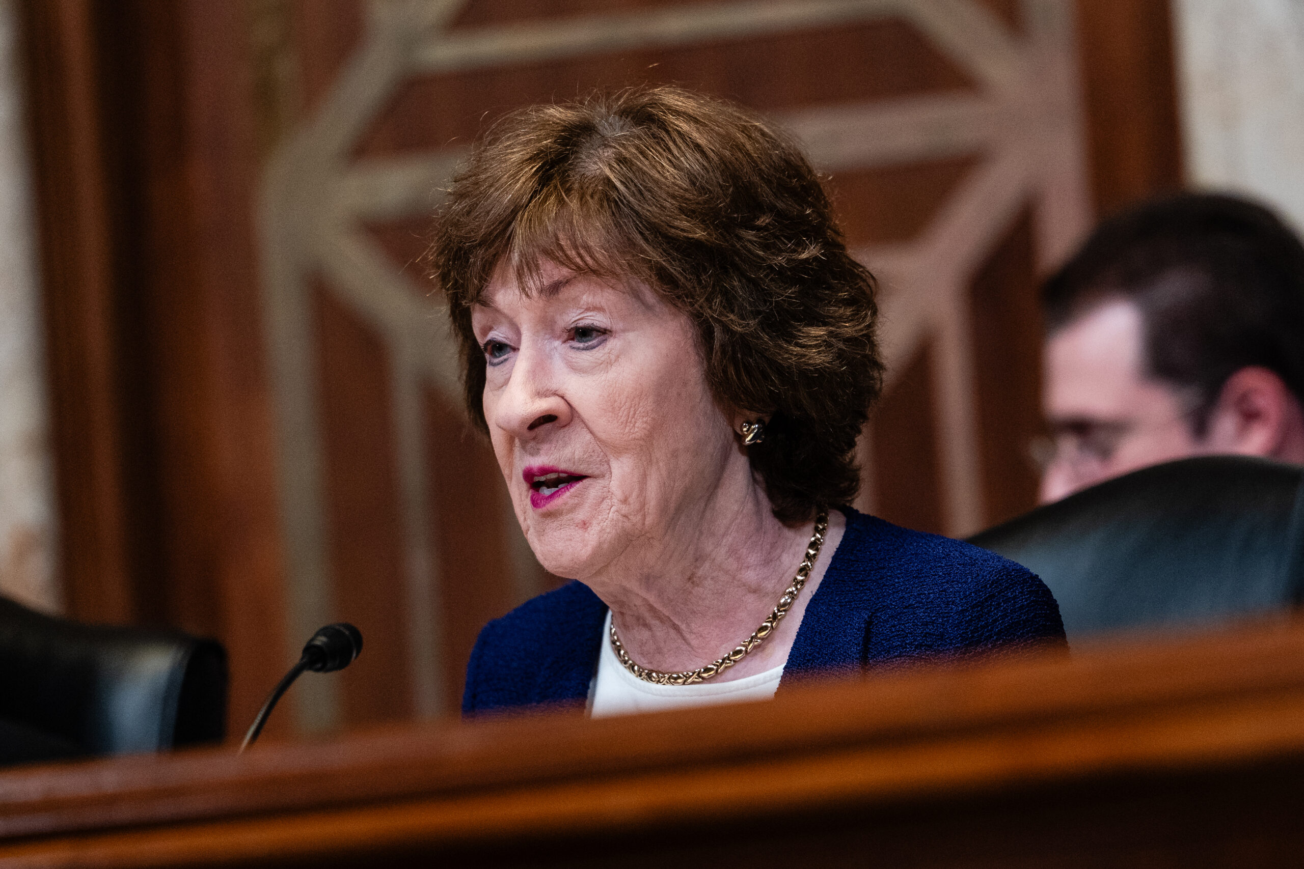 Invisibility, Collins’s Key Survival Skill in Maine, Emerges as a Negative