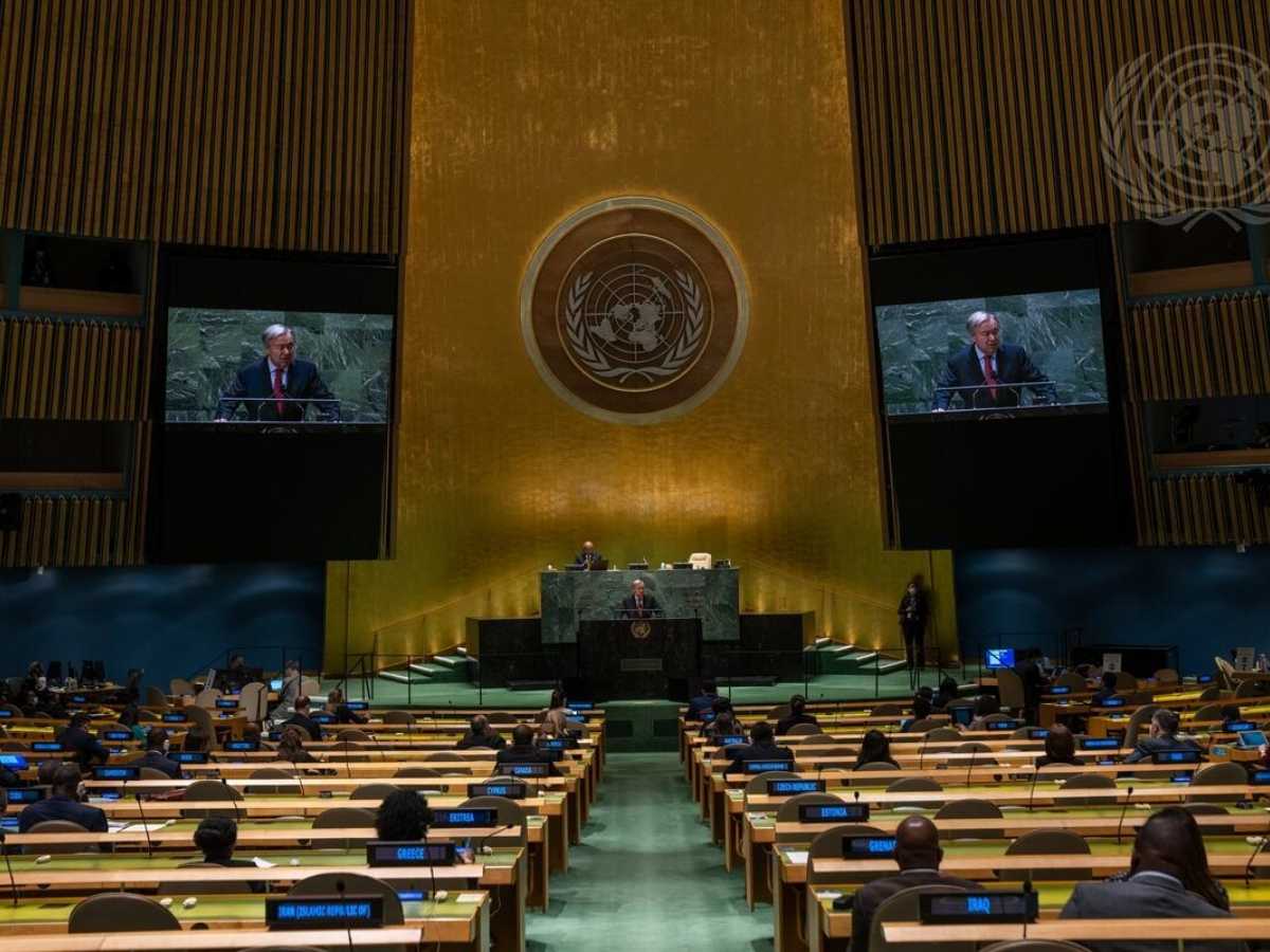 UN Committee Declares Countries Legally Obligated To Provide Reparations for the Slave Trade